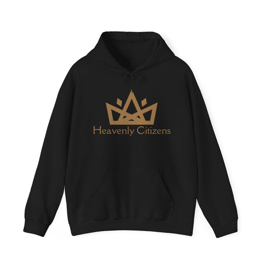 Heavenly Citizens Black Hoodie